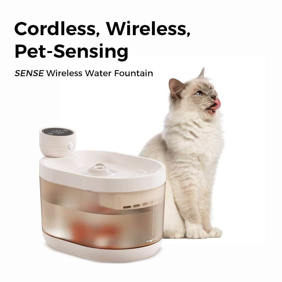 SENSE Wireless Pet Water Fountain with cat, cordless and pet-sensing design.