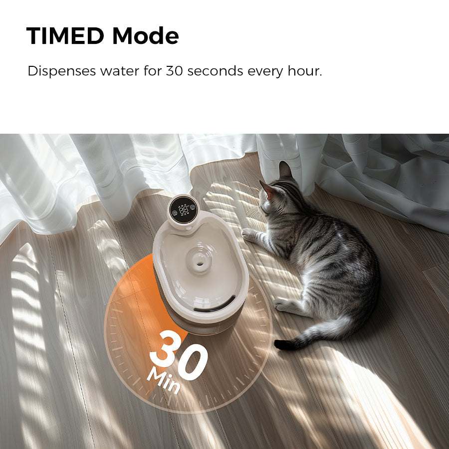 SENSE Wireless Pet Water Fountain TIMED mode with cat drinking.